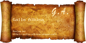 Galle Albina névjegykártya